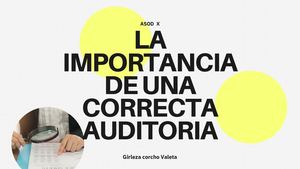 Importancia De La Auditoria En Los Sistemas De Gestión Empresarial