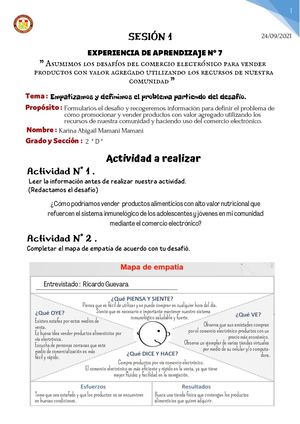 Experiencia Vii Ept Karina Mamani