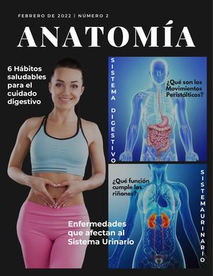 Revista Sistema Digestivo Y Renal