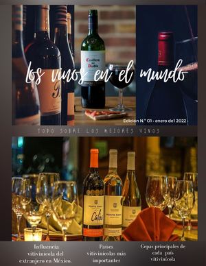 Revista De Vinos