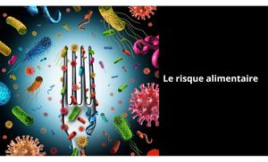 Risque Alimentaire