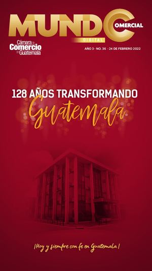 Mundo Comercial Digital 036