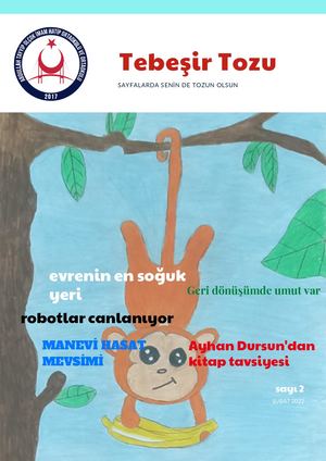 Tebeşir Tozu Şubat Sayısı