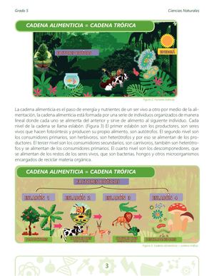 Definición de la Materia