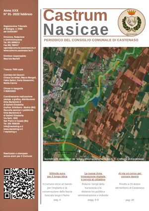 Castrum Nasicae 01