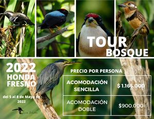 TOUR  BOSQUE, HONDA FRESNO