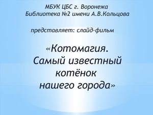 Котомагия. Самый известный котенок нашего города