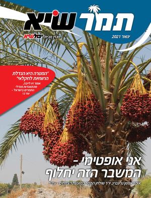 תמר שיא - גיליון ינואר 2021