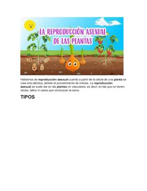 Reproduccion Asexual De Las Plantas