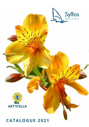 Catalogue Sylfos 2021 Art Stella