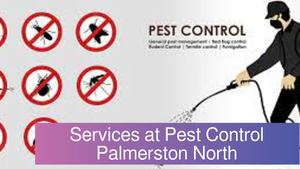 Services at Pest Control Palmerston North