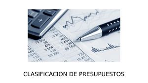 Clasificacion De Presupuestos