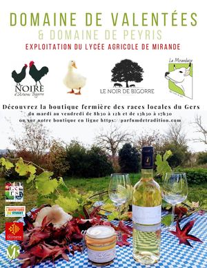 Les Produits Du Domaine De Valentées & Du Domaine De Peyris