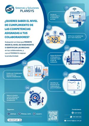 Brochure Evaluacion Web