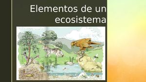 Elementos De Un Ecosistema