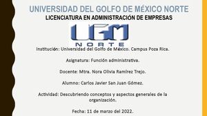 La Función De Organización