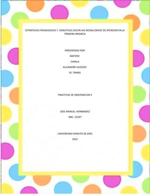 Estrategias Pedagogicas Y Didacticas Según Las Modalidades De Atencion En La Primera Infancia