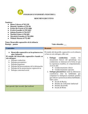 Resumen Ejecutivo Enfermería