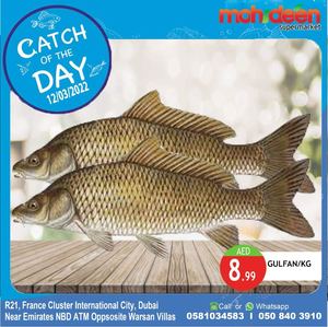 Tsawq Net Mohideen Supermarket China Cluster Dubai 12 2 2022