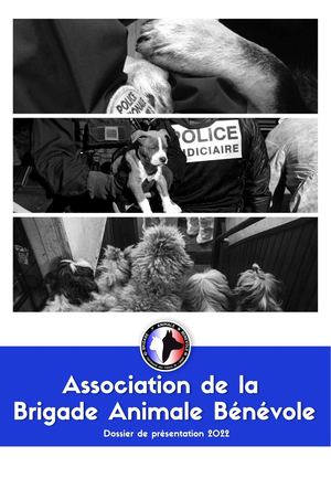 Dossier de présentation BAB 2022