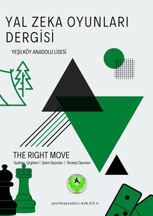 Yal Zeka Oyunlari Dergi