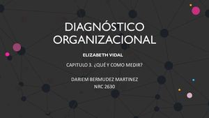 Capitulo 3. Diagnostico Organizacional