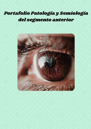 Ortiz Infante Andrea Carolina Portafolio