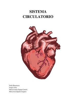 Sistema Circulatorio Final 1