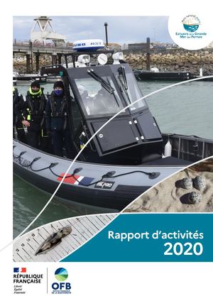 Rapport d'activités 2020