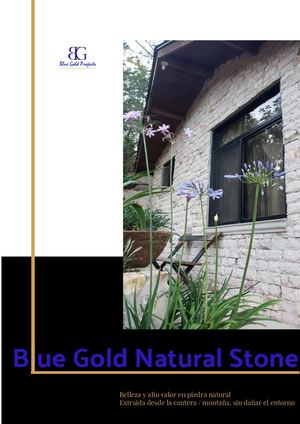 Blue Gold Natural Stone Piedra Natural + Material De Constru (3)