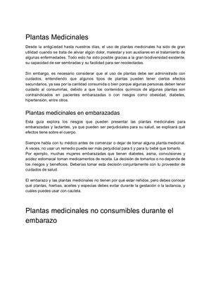 Plantas Prohibidas Para Embarazadas