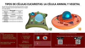 COMPARACIÓN DE LAS CÉLULAS