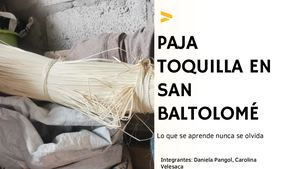 La paja toquilla en San Bartolomé