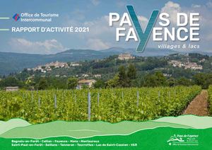 Rapport d'activité 2021
