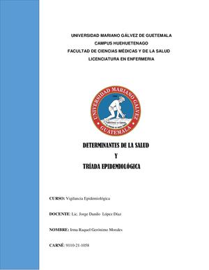 Rotafolio Determinantes De Salud Y Triada Epidemiológica