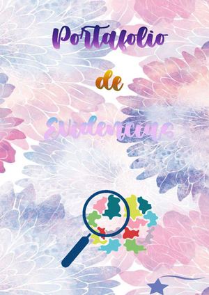 Portafolio De Investigación