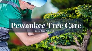 Pewaukee Tree Care