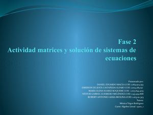 Fase 2 Actividad matrices y solución de sistemas de ecuaciones