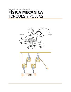 Informe Torques Y Polipastos