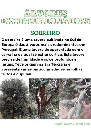 Árvores Extraordinárias (1).