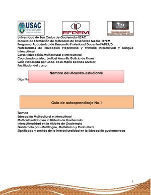 Portafolio Intercultural