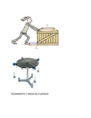 Informe LABORatorio Rozamiento - Mesa De Fuerzas
