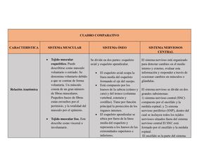 Cuadro Comparativo Grupo 2