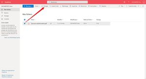C@mpus BEL FR Onedrive Partage1