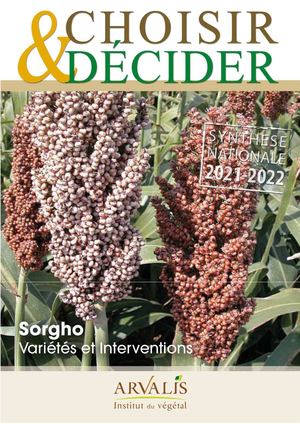 Choisir Sorgho 2021 1236829054217756470