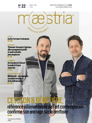 Maestria N°22 24x32 Bd