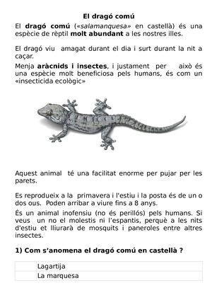 El Dragó Comú Respostes Múltiples