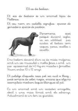 El Ca De Bestiar Resposta Múltiple