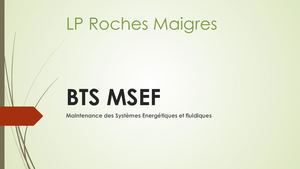 Presentation Bts MSEF du LP Roches Maigres