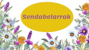 Sendabelarrak 4 B
